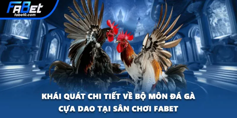 Khái quát chi tiết về bộ môn đá gà cựa dao tại sân chơi FABET