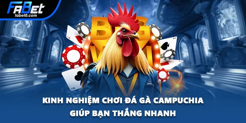 Kinh nghiệm chơi đá gà Campuchia giúp bạn thắng nhanh