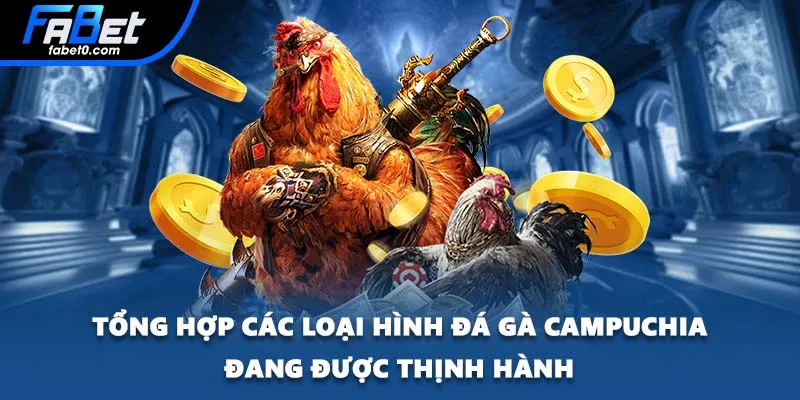 Tổng hợp các loại hình đá gà Campuchia đang được thịnh hành